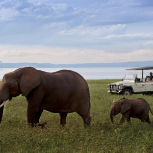 Experience #8: Soul of Africa - 6 Night Stay for 2