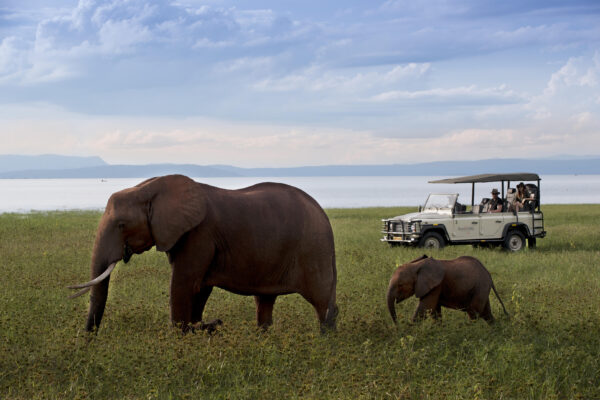 Experience #8: Soul of Africa - 6 Night Stay for 2