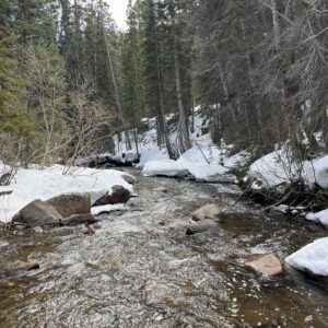 Experience #B17: Fly Fishing Colorado - 3 Night Stay for 2