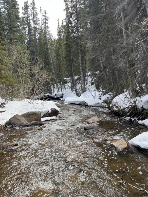 Experience #B17: Fly Fishing Colorado - 3 Night Stay for 2